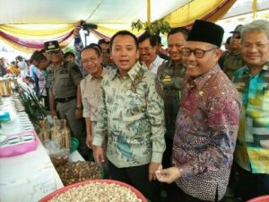 Gubernur Ridho Puji Kualitas Kopi Tanggamus