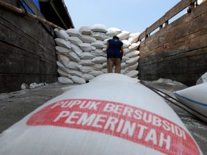 Jatah Pupuk Bersubsidi Lampung Tertinggi di Sumatera