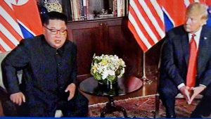 Pertemuan Trump – Kim, Babak Baru Semenanjung Korea