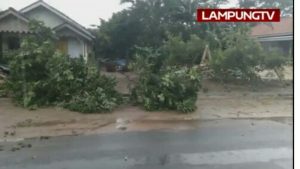 Puting Beliung Rusak 15 Rumah di Sumber Agung, Seputih Mataram Lamteng