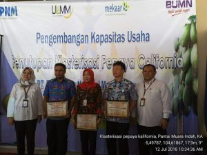 Klasterisasi Pengembangan Pepaya California di Tanggamus