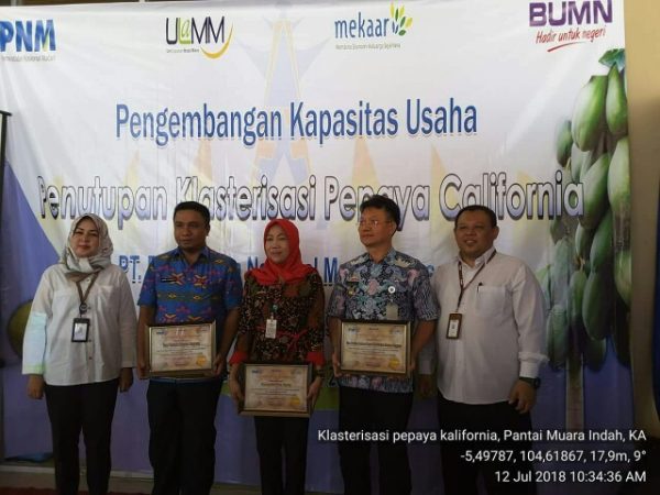 Klasterisasi Pengembangan Pepaya California di Tanggamus