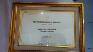 Kabupaten Tanggamus Dapat  Penghargaan Eliminasi Malaria