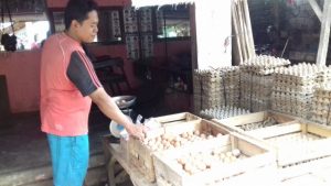Jelang Natal dan Tahun Baru,  Harga Ayam dan Telur Naik