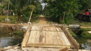 Ibu Bupati, Kampung Hargorejo Rawajitu Selatan Butuh Infrastruktur