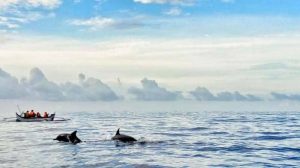 Berita Foto: Dampak Tsunami Teluk Kiluan