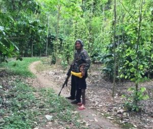 Masih Saja Terjadi, Petani Lampung Utara Keluhkan Pupuk Langka