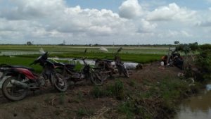 Butuh Infrastruktur Untuk Amankan 1700 Hektare Tanaman Padi di  Rawaragil