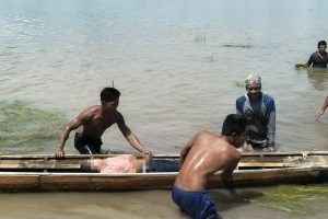 Pelajar SMP Tenggelam di Rawa Suka Makmur