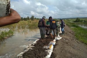 Tanggul Penangkis Way Tulangbawang Terancam Jebol