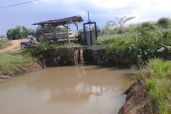 Ratusan Petani Sawah Rawa Pitu Butuh Bantuan Pompa Air