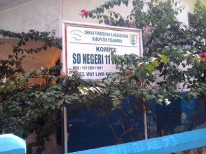 Duh, Kondisi SDN 11 Way Lima Pesawaran Perlu Perhatian Pemerintah