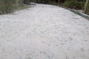 Penggunaan Dana Desa Pekon Untuk Pembangunan Rabat Beton Diindikasi Bermasalah