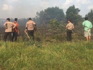 Lahan Gambut Mesuji Lampung Terbakar, Masyarakat Bersama Polres Berjibaku Atasi Kebakaran