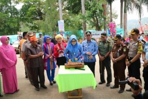 Bupati Tanggamus Dewi Handajani Buka Festival Teluk Semaka 2019