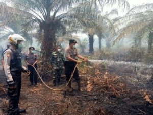 Giat TNI-Polri Berhasil Padamkan Kebakaran Lahan Sawit