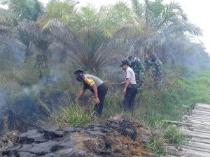 Anggota Koramil 0426-01 Mesuji dan Polsek Mesuji Bahu Membahu Padamkan Kebakaran Kebun Sawit