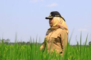 25 Program BMW Pemkab Tulangbawang Telah Masyarakat Rasakan Manfaatnya