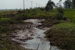 Petani Rawa Pitu Tulangbawang Minta Revitalisasi Tanggul Penangkis Sepanjang 4 Ribu Meter