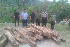 Diduga Hasil Ilegal Logging, Polsek Limau Temukan Kayu Sonokeling
