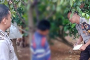 Warga Gunung Batu Digegerkan Mayat Tergantung Dipohon Pala