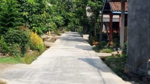Dana Desa 2019 Pekon Sridadi, Bangun Rabat Beton 5 Titik 456 Meter