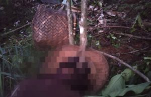 Kakek Nasibun Ditemukan Meninggal di Kebun Kopi
