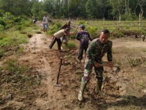 Babinsa Koramil 426-02/Menggala Bersama Warga Gotongroyong Timbun Jalan Usaha Tani
