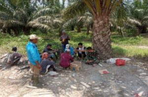 Babinsa Koptu Edi Blusukan ke Kebun Sawit Bantu Warga Basmi Hama Tikus