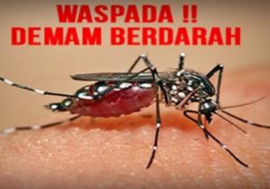 Ditengah Pandemi Corona RSUD Batin Mangunang Kota Agung Rawat 7 Pasien DBD