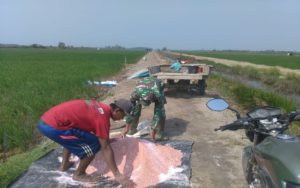 Babinsa Bantu Kesulitan Para Petani di Lapangan