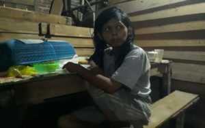 Warga Karang Mulya Mesuji Resah, Pemuda  Ngamuk Bawa Sajam