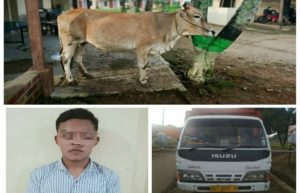 Polsek Abung Selatan Tangkap  Pencuri Sapi