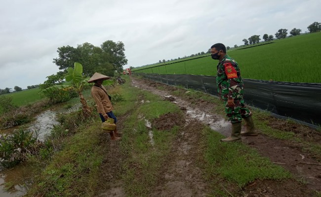 Babinsa Kodim 0426/Tulang Bawang Bahu Membahu Bantu Warga