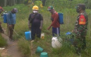 Petani Tulang Bawang Minta Harga Singkong Diatas Rp1500/kg, Potongan 20 Persen