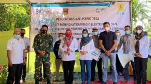 Bupati Dewi Handajani Resmikan Pengoperasian Listrik Desa Pekon Margomulyo