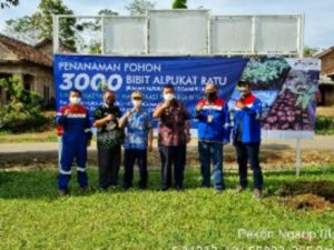 PT. Pertamina Geothermal Energy  Ulubelu Bagikan 3000 Bibit Alpukat Ratu