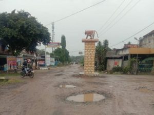 Warga Gunung Agung Minta Pemkab Tulang Bawang Barat Perbaiki Jalan