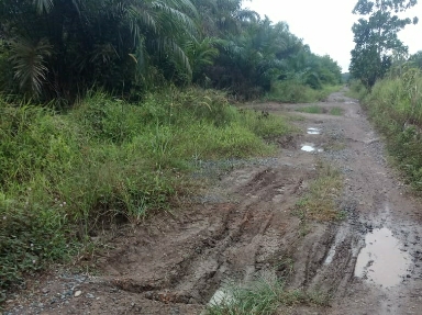 Jalan Poros Rawapitu Rusak Parah, Petani Menjerit