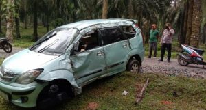 Kecelakaan Tunggal Kebon Sawit PT. SIP Pengemudi Xenia Tewas