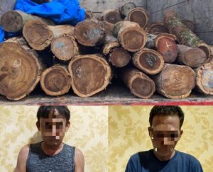 Bawa Kayu Sonokeling Tanpa Izin, Dua Warga Lamtim Diamankan Sat Reskrim Polres Lampura