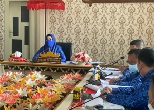 Bupati Tanggamus Hj Dewi Handajani Mengikuti Penilaian Tahap II PPD Tahun 2022