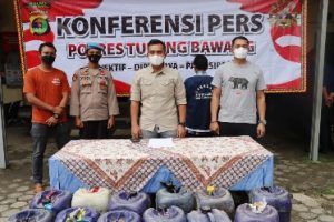 Satreskrim Polres Tulang Bawang Tangkap Pelaku Penimbun 910 Liter BBM Solar dan Pertalite