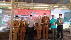 Bupati Tanggamus Hadiri  Penyerahan Bantuan Kementan RI Kepada Pusat Pelatihan Pertanian dan Perdesaan Swadaya