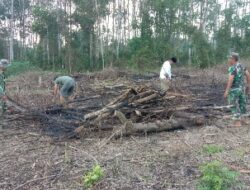 TNI AD Membantu Masyarakat Manfaatkan Lahan Kosong Menanam Jagung