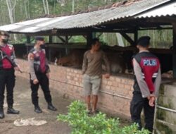 Samapta Polres Tulang Bawang Awasi Penyakit Mulut dan Kuku Pada Hewan  Ternak