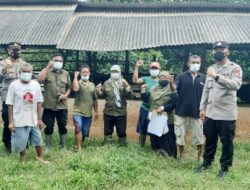 Polres Bersama Pemkab Pesawaran Vaksinasi PMK Hewan Ternak