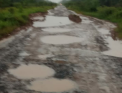 Jalan Rusak Parah Harga Hasil Bumi Anjlok Sementara Pupuk Melambung