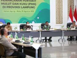 Satgas PMK BNPB Dorong Lampung Menjadi Provinsi ke-7 yang Nihil Kasus PMK
