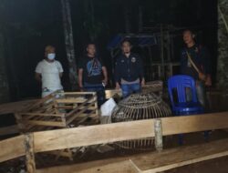 Reskrim Polsek Kedondong Gerebek Arena Sambung Ayam Kosong